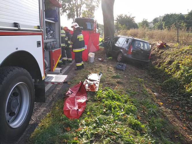 Tragiczny wypadek pod Bydgoszczą. Kierowca zginął na miejscu! [ZDJĘCIA]