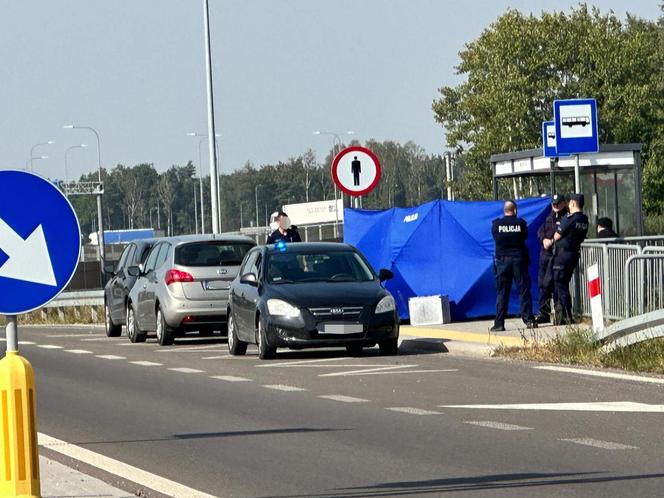 Zwłoki noworodka w reklamówce w koszu na śmieci. Wstrząsające odkrycie na przystanku pod Warszawą