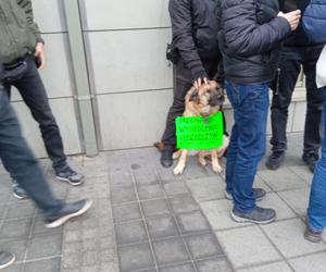 Protest przeciwko wysiedleniu uchodźców z Ukrainy i prywatyzacji Ikara