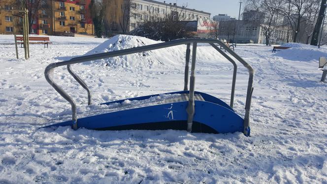 Park Hallera w Dąbrowie Górniczej