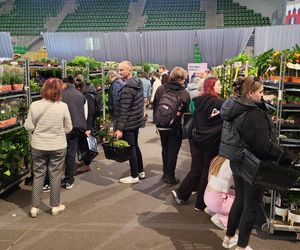 Bydgoszcz rozkwitła zielenią w Łuczniczce. Tak było na Festiwalu Roślin