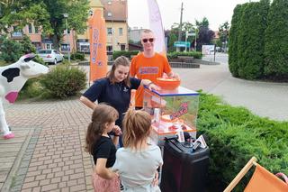 WafLova w Wolinie