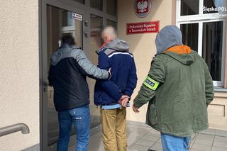 Tarnowskie Góry: W centrum miasta zlikwidowano plantację konopi