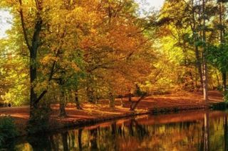 Park Sołacki zachwyca kolorami. To zdecydowanie jedno z najbardziej barwnych miejsc w Poznaniu [ZDJĘCIA]