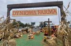 Farma Dyniowa