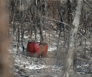 Pożary w Hiszpanii