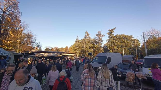 Tłumy na grobach we Wrocławiu. Zobaczcie zdjęcia z cmentarzy [GALERIA]