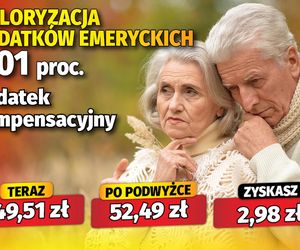 Waloryzacja 6,01 proc. dodatków emeryckich