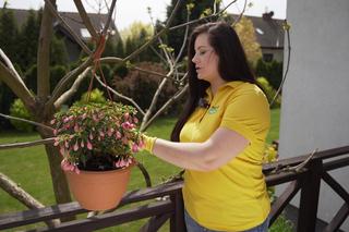 Balkon i taras pełen kwiatów! Wideo #MuratorOgroduje!