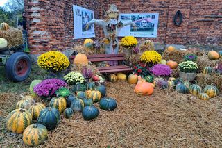 Święto Dyni 2025 - Centrum produktu Lokalnego Rzuchowa