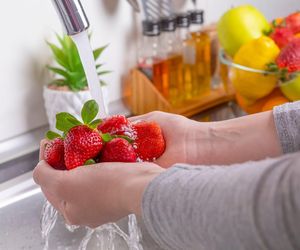 Jak przechowywać truskawki, żeby dłużej były świeże i apetyczne? Sprawdzone sposoby