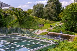 Ogród na dachu BUW w Warszawie