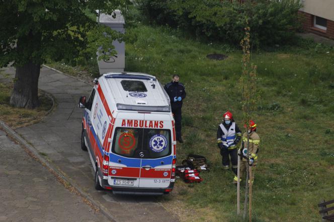 Wyleciał z 6. piętra i przeżył