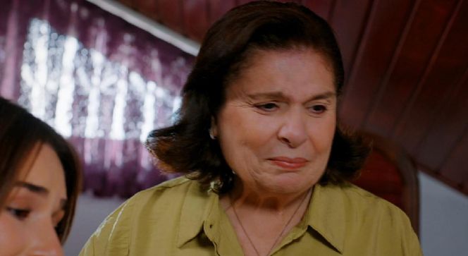 Miłość i nadzieja, odcinek 315. Sila, Naciye