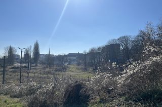 Szczecińskie Pomorzany