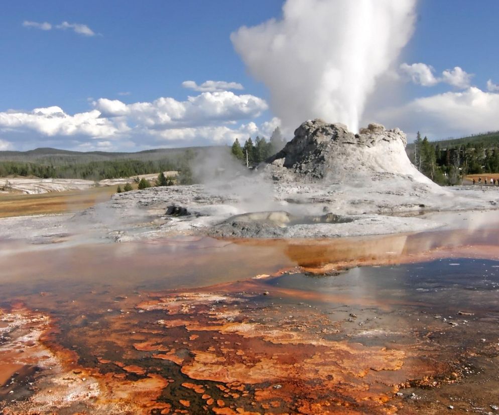 Gejzer w Yellowstone