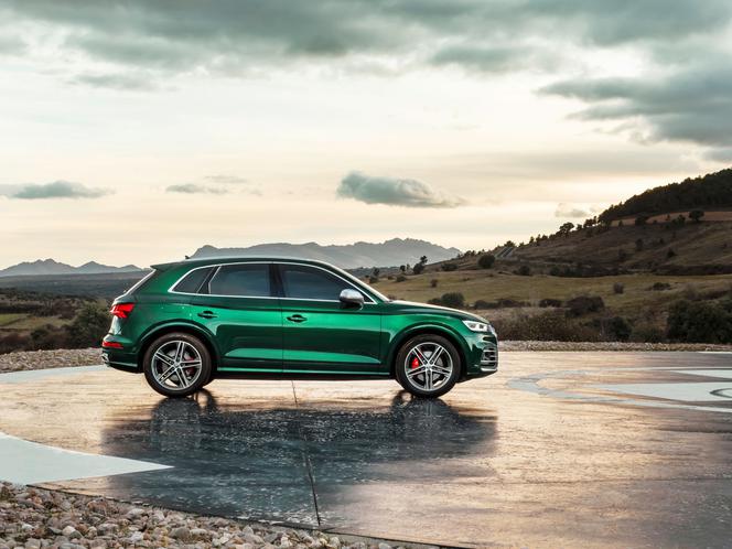 Audi SQ5 TDI