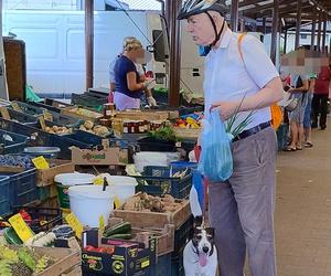 Korwin-Mikke na zakupach