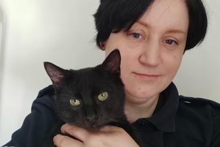 Bezdomny kociak przyszedł pod komisariat w Bytowie. Wspaniała reakcja policjantki