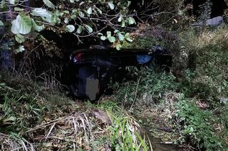 Do zdarzenia doszło w Mrozach w rejonie ulic Nadrzecznej i Granicznej