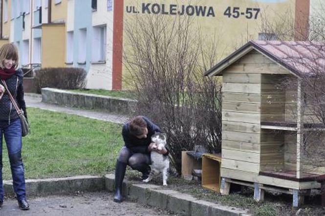 Jeden z domków dla kotów znajduje się przy ulicy Kolejowej.