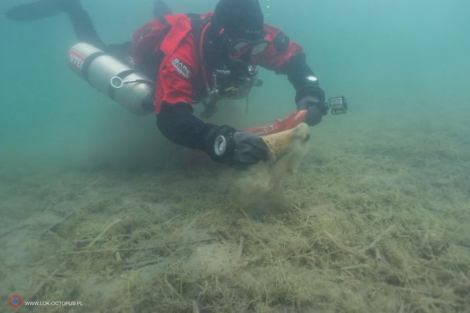 jezioro Tarnobrzeskie Niezwykła akcja płetwonurków