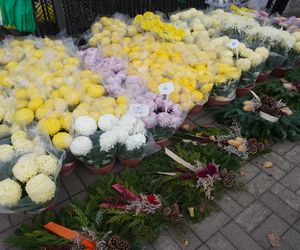 Ceny zniczy i kwiatów pod Cmentarzem Centralnym w Szczecinie