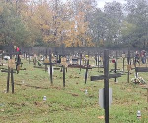 Rekordowa akcja Światełko Pamięci. Uczniowie z Łodzi porządkowali opuszczone groby