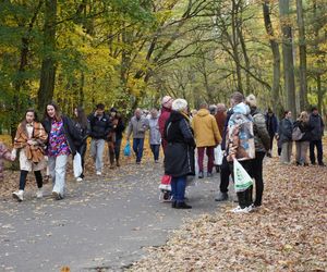 Tłumy na cmentarzu na Miłostowie