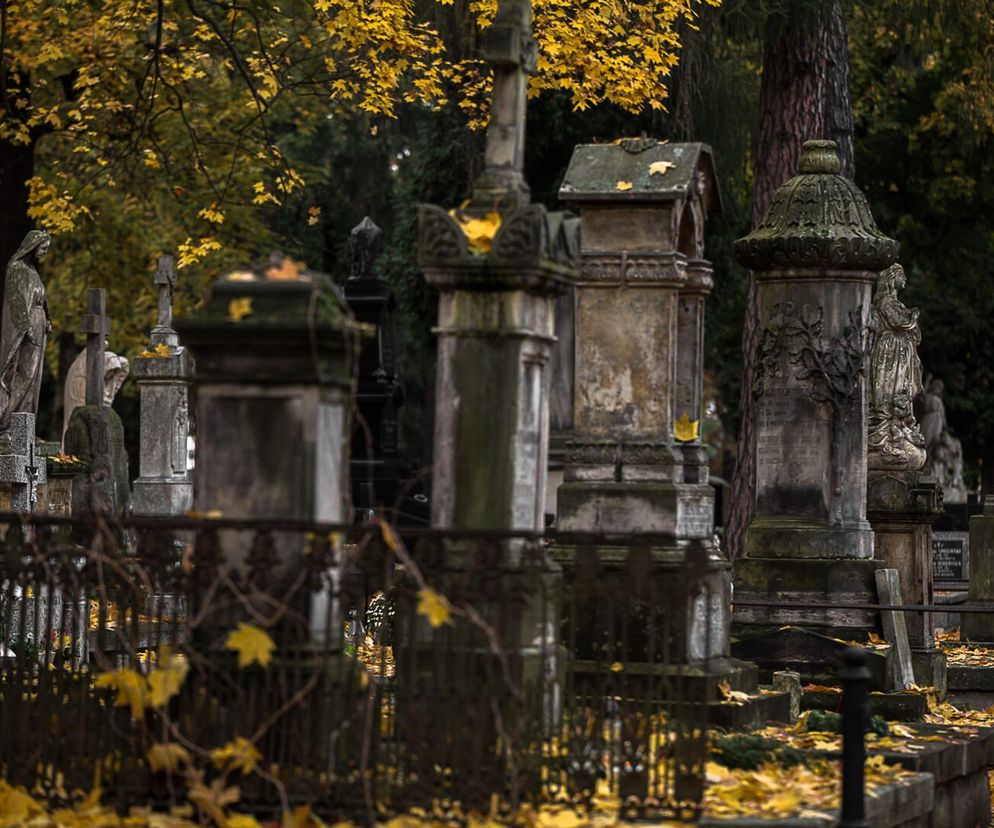 Lublin - kwesta cmentarna przy ul. Lipowej i nabór chętnych