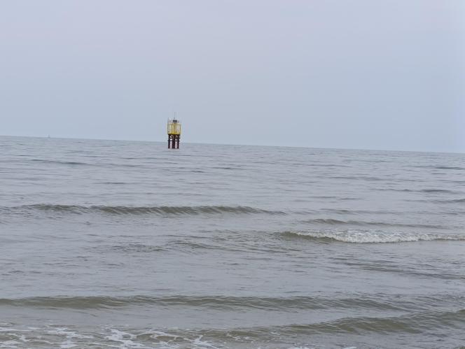 Badanie geologiczne na plaży w Lubiatowie. Budowa elektrowni jądrowej w gminie Choczewo