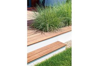 Trawy ozdobne na tarasie