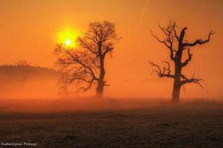 Wschód słońca w Rogalinku [ZDJĘCIE DNIA]