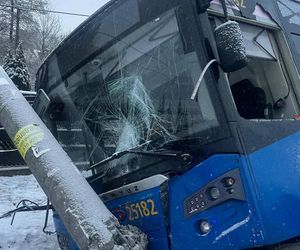 Pasażerowie przeżyli prawdziwe chwile grozy. Autobus zjechał do rowu i uderzył w słup!