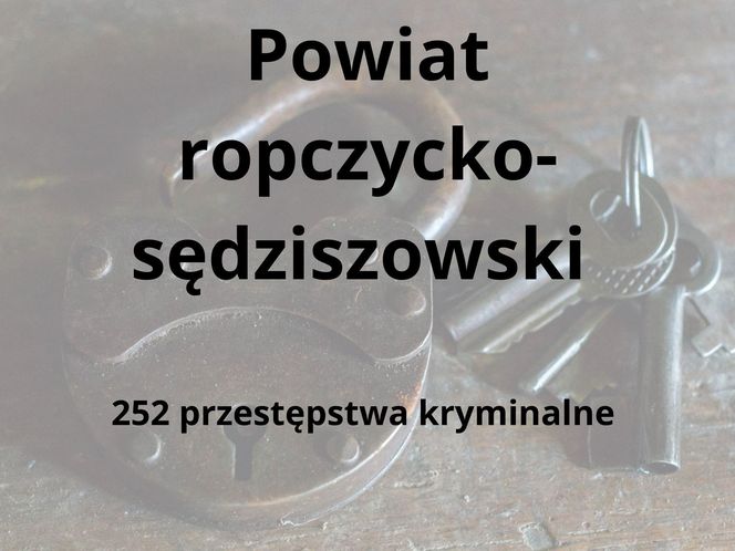 To tu na Podkarpaciu dochodzi do największej liczby przestępstw kryminalnych