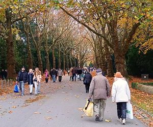 1 listopada na Cmentarzu Centralnym w Szczecinie