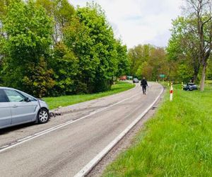Tragedia na drodze! Czołowe zderzenie i śmierć na miejscu