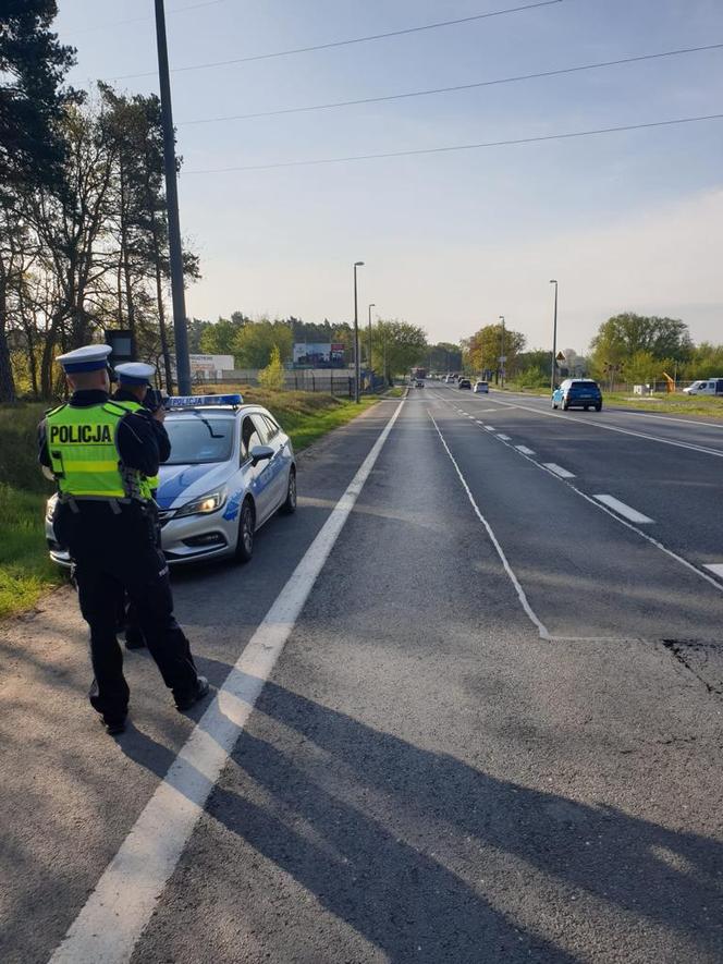 Akcja policji "Bezpieczna droga do pracy" w Toruniu i okolicach. Sypią się mandaty