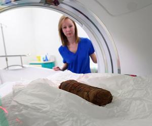 Przebadano mumię kota ze starożytnego Egiptu! To początek ambitnego projektu badawczego