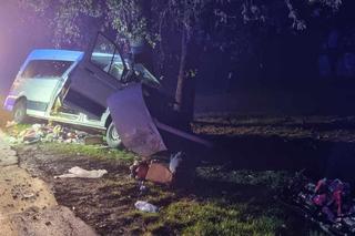 Dwie kobiety i 6-letnie dziecko zginęli w wypadku w gminie Mircze