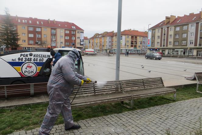 Koronawirus w Koszalinie. Wielka dezynfekcja miasta! Odkażane są ławki i przystanki