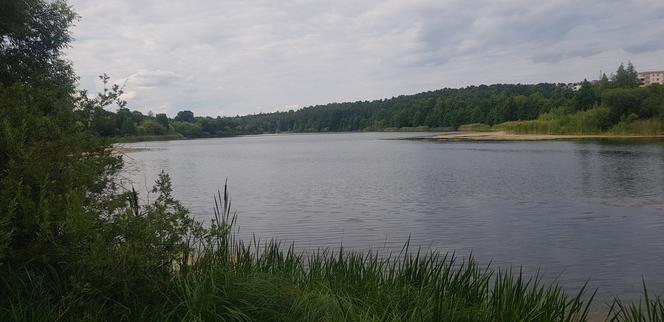 Jezioro Długie w Olsztynie zostanie oczyszczone z nadmiaru moczarki