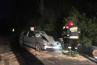 Drzewo runęło na jadący samochód w regionie! Jedna osoba poszkodowana [ZDJĘCIA]