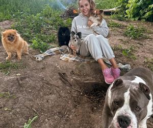 Te psy skradły serca gwiazd! Niektóre wyglądają jak z bajk