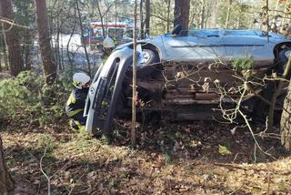 Wypadek na DW 686. Kierowca renault zaparkował między drzewami [ZDJĘCIA]
