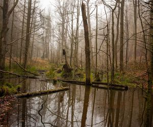 Utworzono Rezerwaty „Góra Skarbowa” i „Uroczysko Tumlińskie”