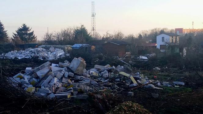 Torowa rewolucja: wycinka drzew na pętli Pomorzany i likwidacja działek