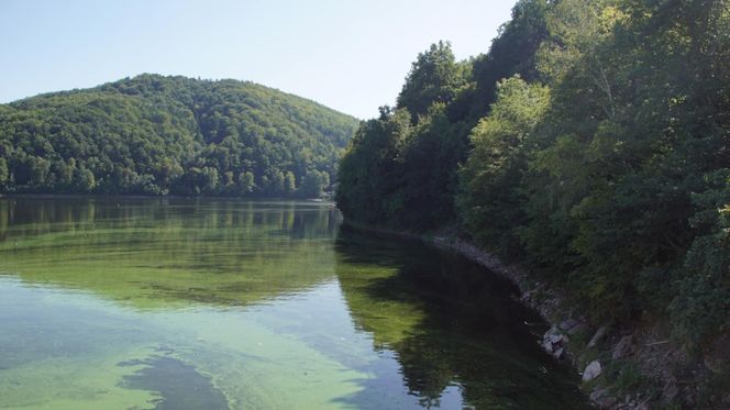 To najpiękniejsze jezioro na Dolnym Śląsku. Otoczone jest wzgórzami i lasami