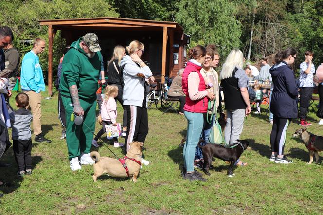 IX Piknik Przyjaciół Schroniska w Toruniu
