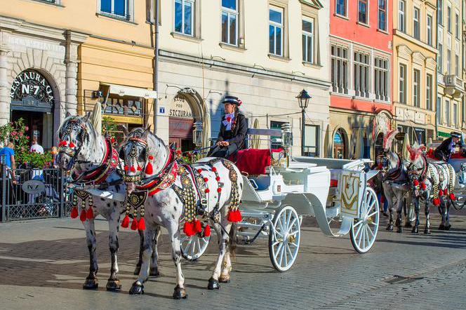 Kraków: Najprawdopodobniej w czerwcu dorożki wyjadą na Rynek Główny